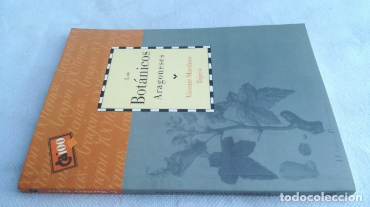 Libros de segunda mano: LOS BOTANICOS ARAGONESES / CAI 100 ARAGON - Foto 1