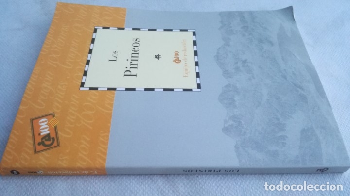 Libros de segunda mano: LOS PIRINEOS / CAI 100 ARAGON - Foto 1