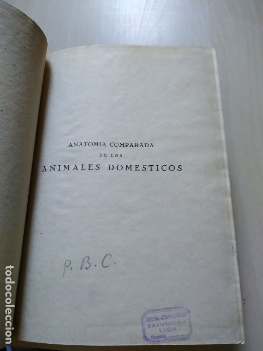 Libros de segunda mano: Anatom&iacute;a comparada de los animales dom&eacute;sticos - J. Gonz&aacute;lez 1945 - Foto 3