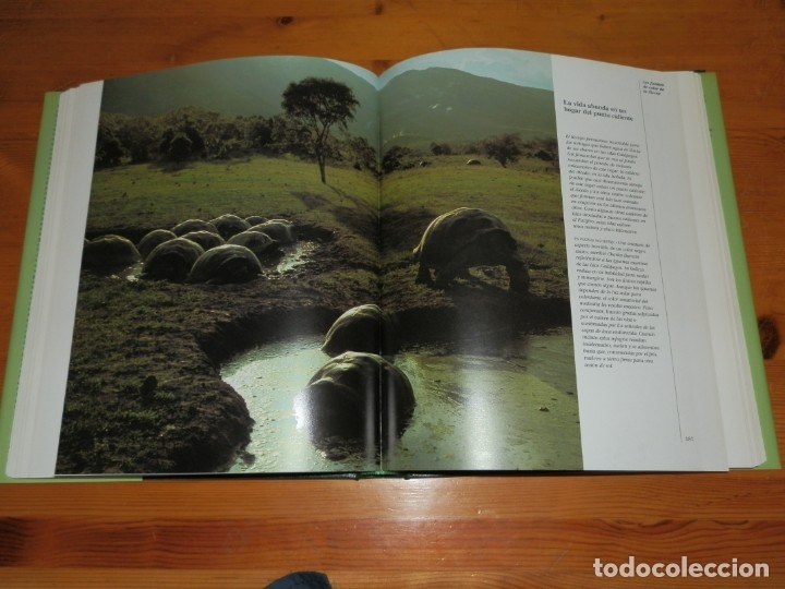 Libros de segunda mano: Naturaleza y Vida (Planeta) - Foto 4
