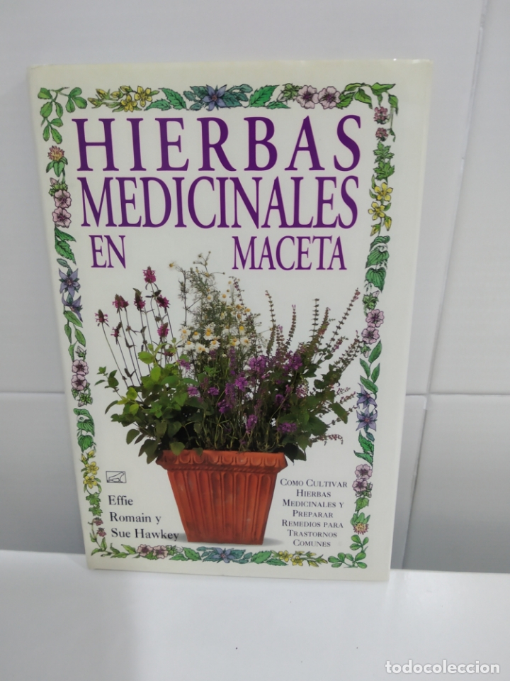 Libros de segunda mano: HIERBAS MEDICINALES EN MACETA - Foto 1