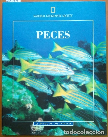 Libros de segunda mano: EL MUNDO DE LOS ANIMALES. PECES. - VV.AA. - Foto 1