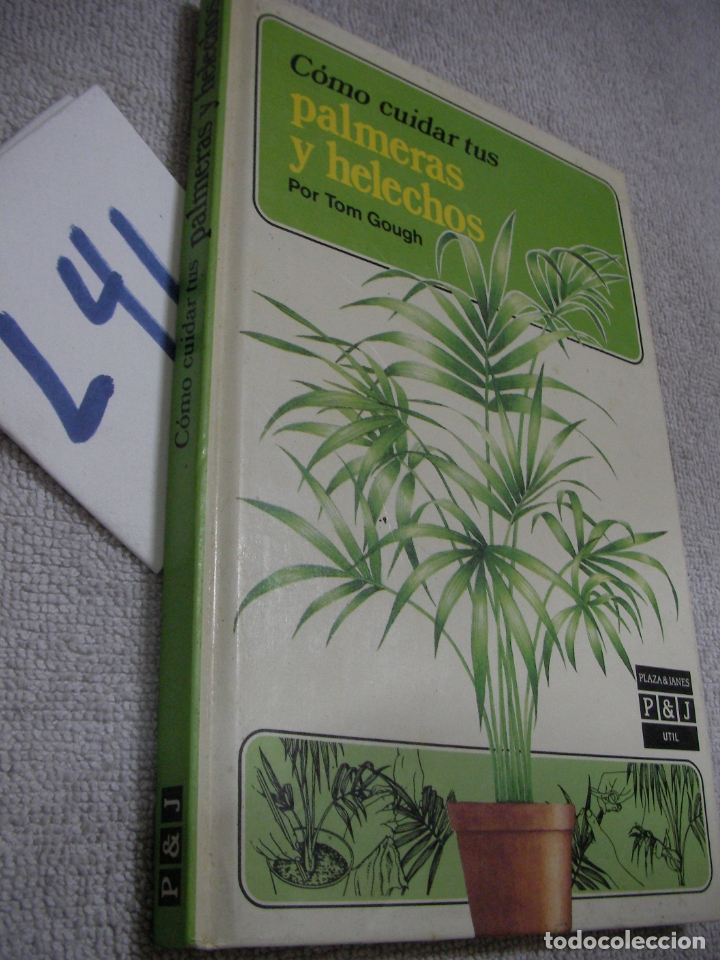 Libros de segunda mano: COMO CUIDAR TUS PALMERA Y HELECHOS - Foto 1