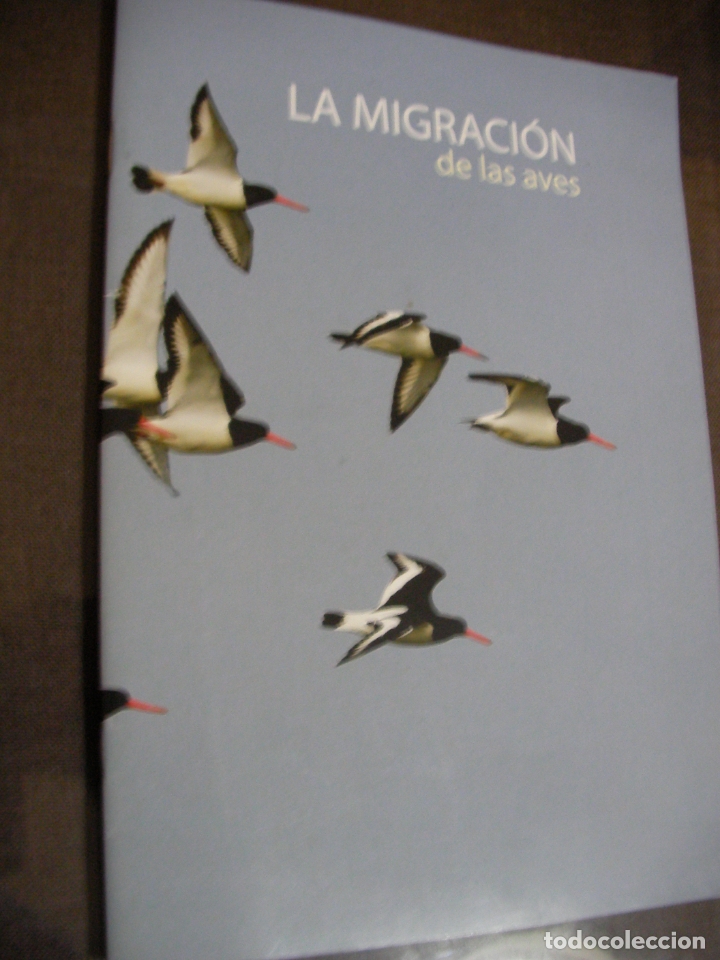 Libros de segunda mano: LA MIGRACION DE LAS AVES - Foto 1
