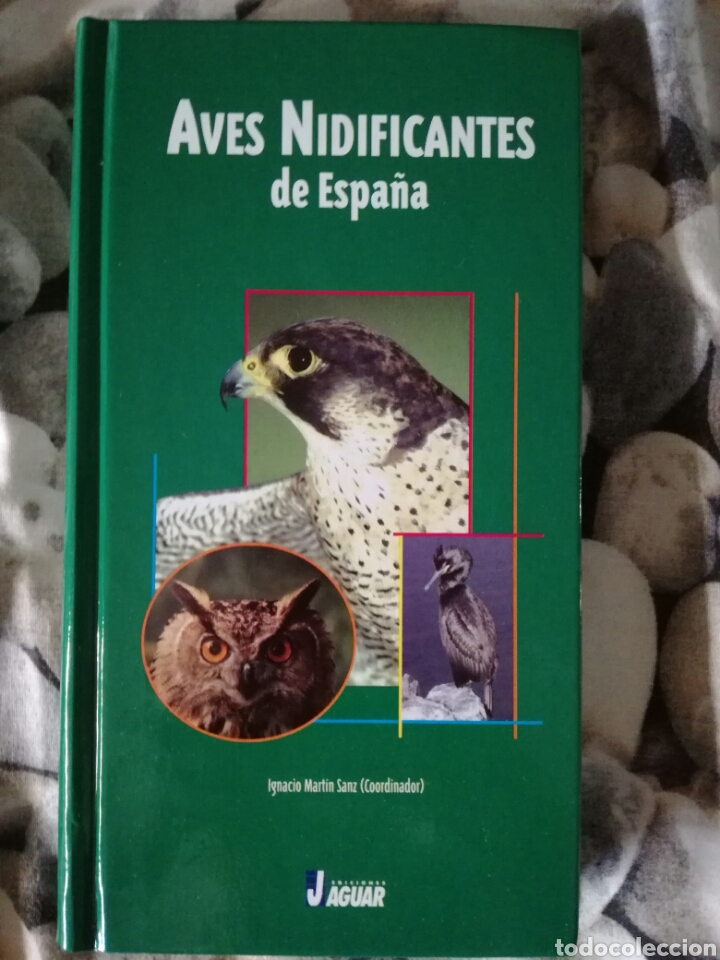 Libros de segunda mano: AVES NIDIFICANTES DE ESPA&Ntilde;A. IGNACIO MART&Iacute;N. - Foto 1