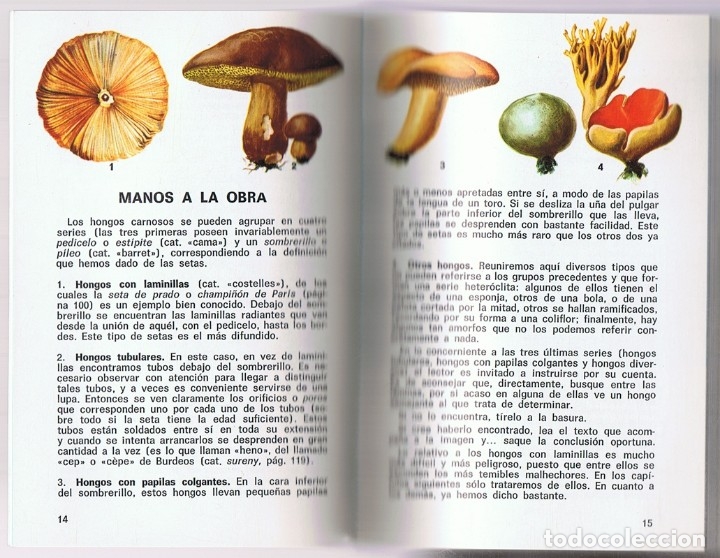 Libros de segunda mano: SETAS COMESTIBLES Y VENENOSAS PIERRE MONTARNAL - Foto 2