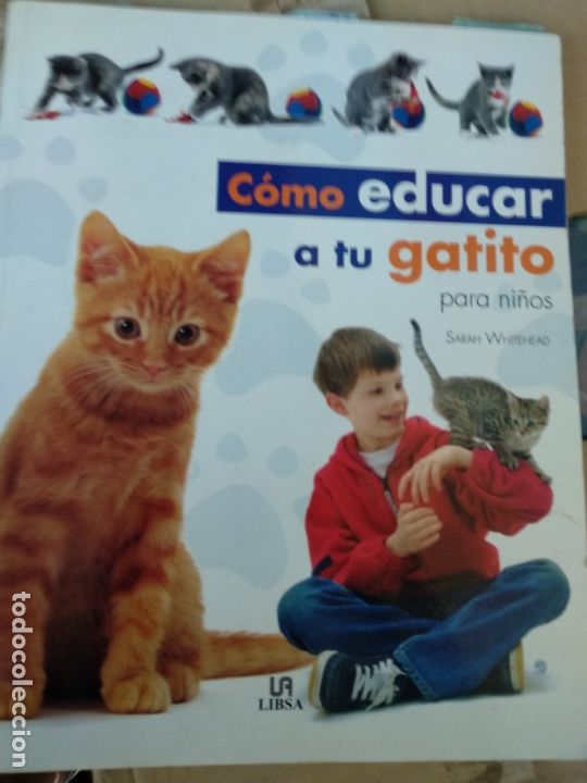 Libros de segunda mano: COMO EDUCAR A TU GATITO PARA NI&Ntilde;OS -- SARAH WHITEHEAD - Foto 1