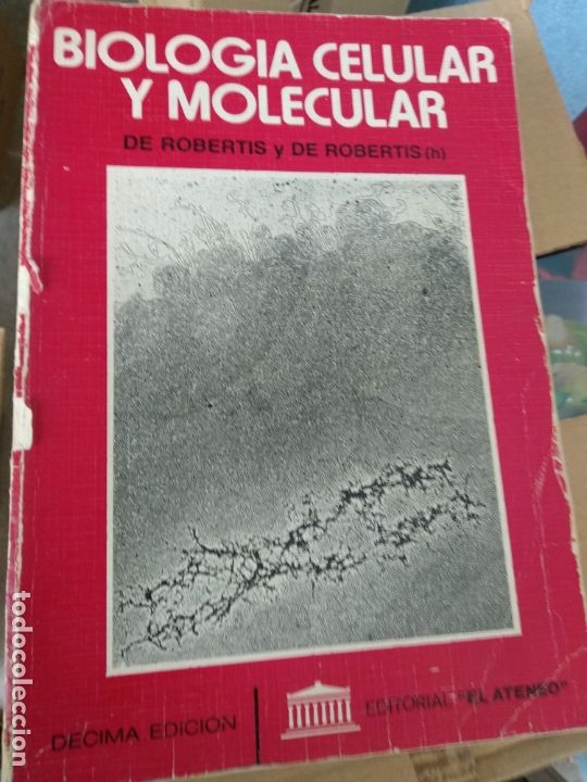 Libros de segunda mano: De Robertis y De Robertis - Biolog&iacute;a celular y molecular - Foto 1