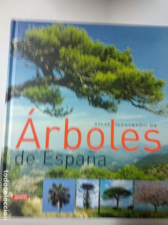 Libri di seconda mano: ATLAS ILUSTRADO DE ARBOLES DE ESPA&Ntilde;A