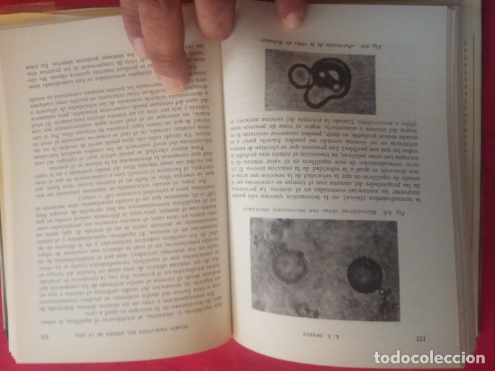 Libros de segunda mano: TEOR&Iacute;A EVOLUTIVA DEL ORIGEN DE LA VIDA / A.I. OPARIN . - Foto 4