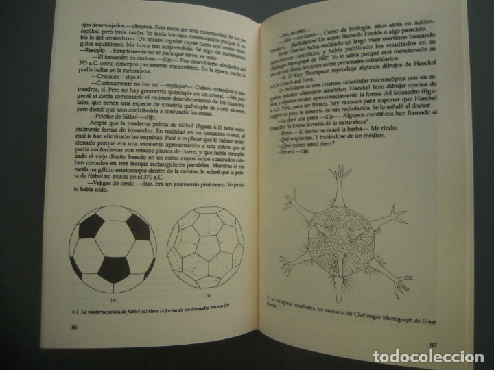 Libros de segunda mano de ciencias: Lote 4 libros Biblioteca DESAF&Iacute;OS MATEMATICOS RBA 2007 - Foto 14