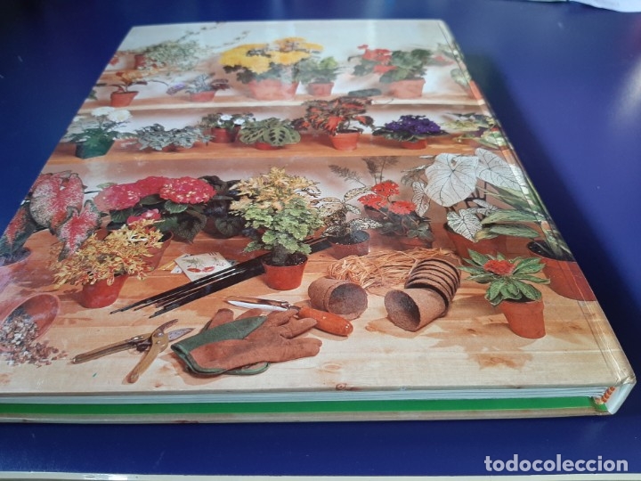 Libros de segunda mano: El libro de oro del jard&iacute;n y las plantas de interior 1984 - Foto 3