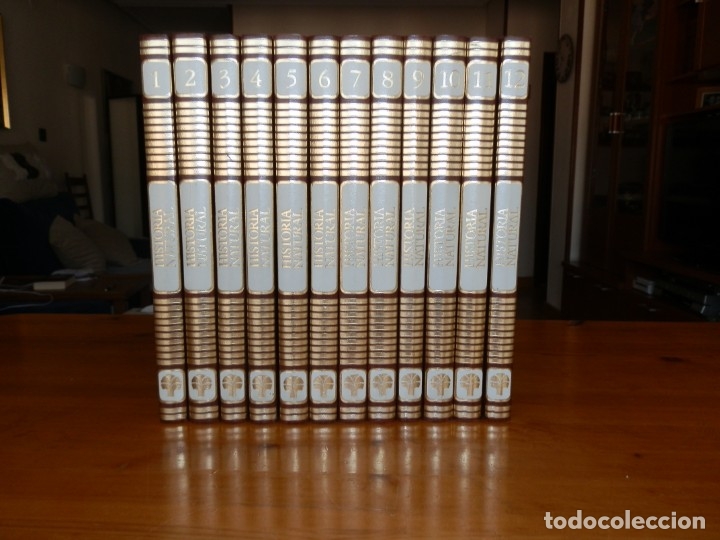 Libros de segunda mano: Historia Natural (Editorial Marin) - Foto 1