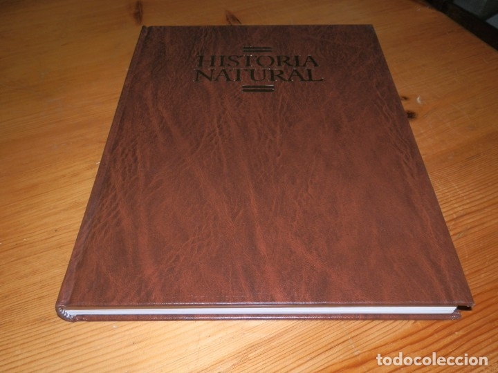 Libros de segunda mano: Historia Natural (Editorial Marin) - Foto 2