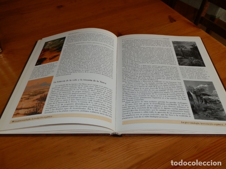 Libros de segunda mano: Historia Natural (Editorial Marin) - Foto 3
