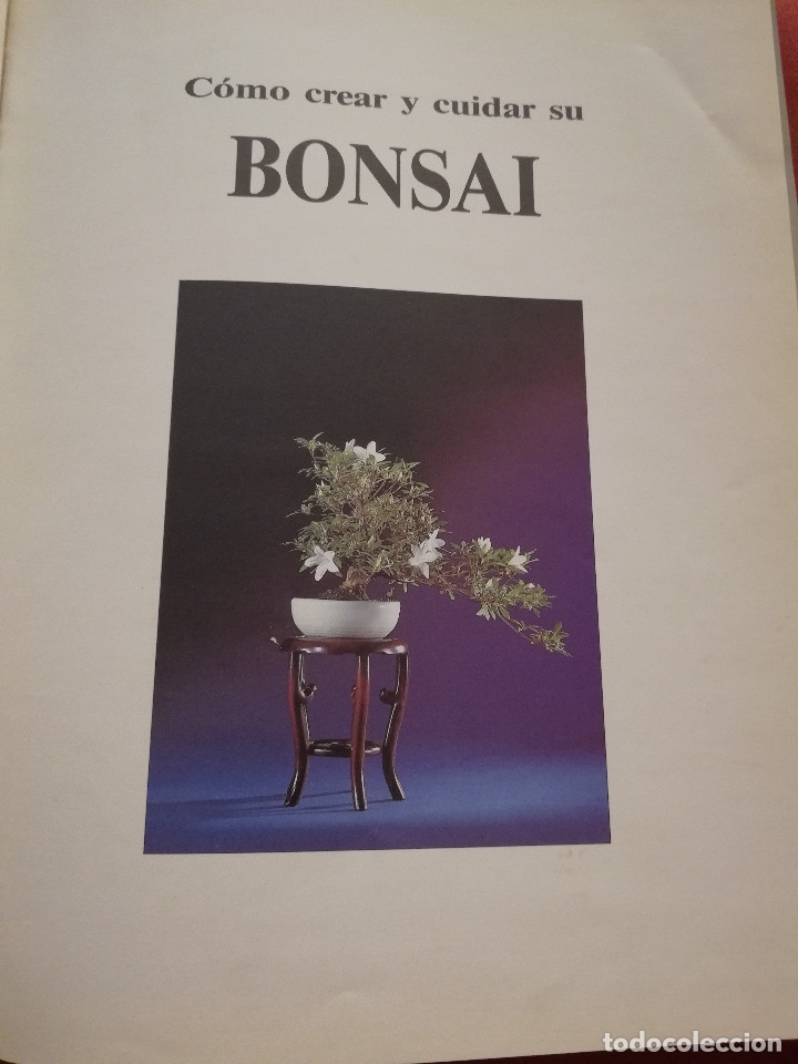 Libros de segunda mano: C&Oacute;MO CREAR Y CUIDAR SU BONSAI (ISABELLE Y R&Eacute;MY SAMSON) OMEGA - Foto 2