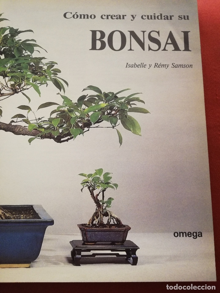 Libros de segunda mano: C&Oacute;MO CREAR Y CUIDAR SU BONSAI (ISABELLE Y R&Eacute;MY SAMSON) OMEGA - Foto 3