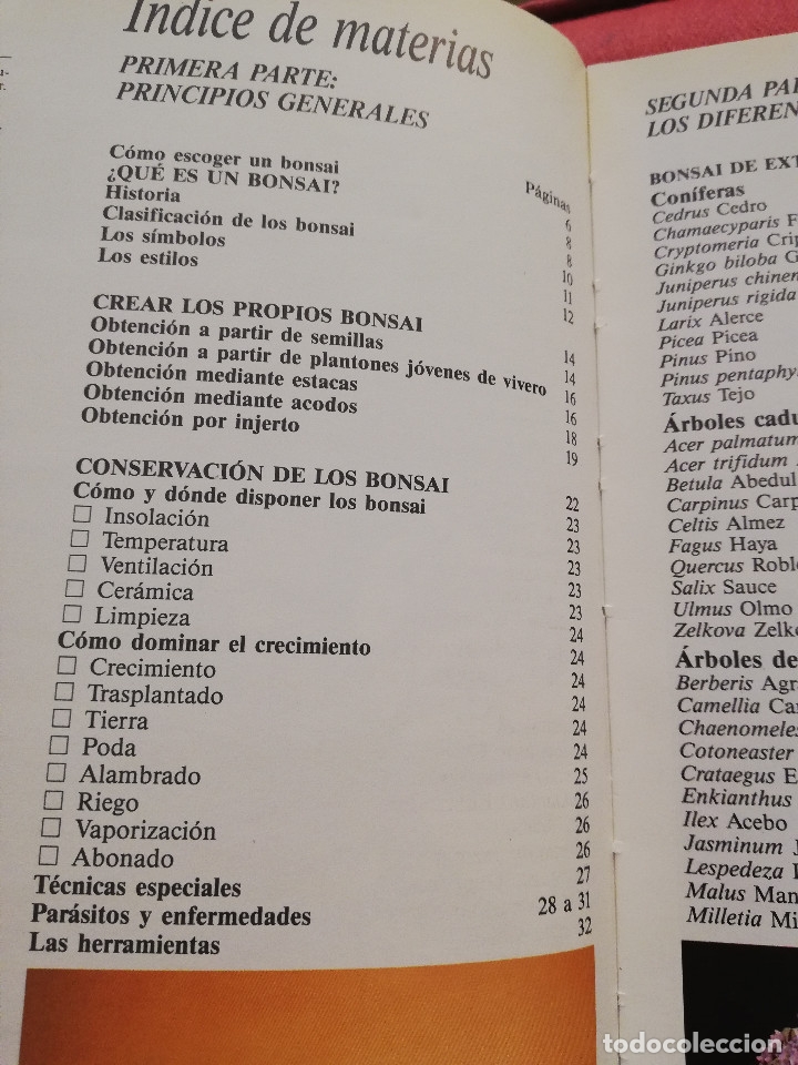 Libros de segunda mano: C&Oacute;MO CREAR Y CUIDAR SU BONSAI (ISABELLE Y R&Eacute;MY SAMSON) OMEGA - Foto 4