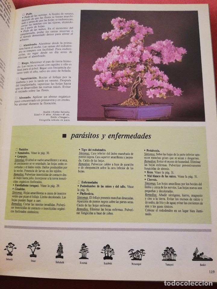 Libros de segunda mano: C&Oacute;MO CREAR Y CUIDAR SU BONSAI (ISABELLE Y R&Eacute;MY SAMSON) OMEGA - Foto 7
