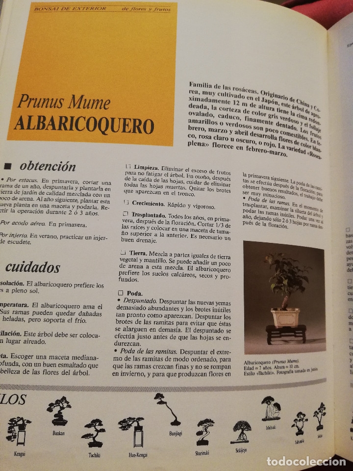 Libros de segunda mano: C&Oacute;MO CREAR Y CUIDAR SU BONSAI (ISABELLE Y R&Eacute;MY SAMSON) OMEGA - Foto 8