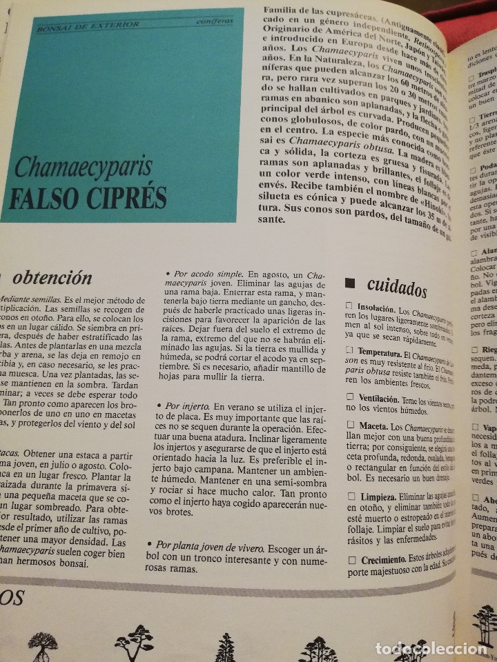 Libros de segunda mano: C&Oacute;MO CREAR Y CUIDAR SU BONSAI (ISABELLE Y R&Eacute;MY SAMSON) OMEGA - Foto 10