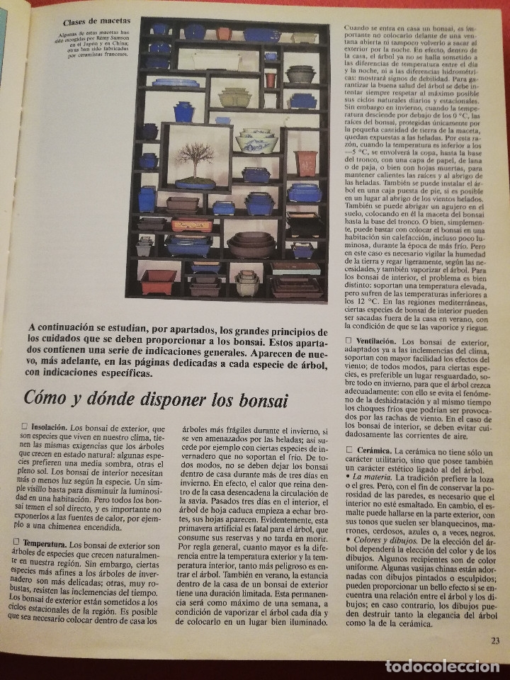 Libros de segunda mano: C&Oacute;MO CREAR Y CUIDAR SU BONSAI (ISABELLE Y R&Eacute;MY SAMSON) OMEGA - Foto 11