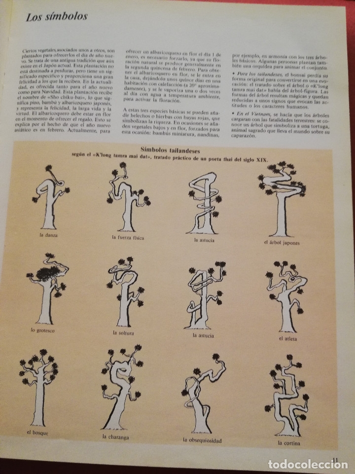 Libros de segunda mano: C&Oacute;MO CREAR Y CUIDAR SU BONSAI (ISABELLE Y R&Eacute;MY SAMSON) OMEGA - Foto 13
