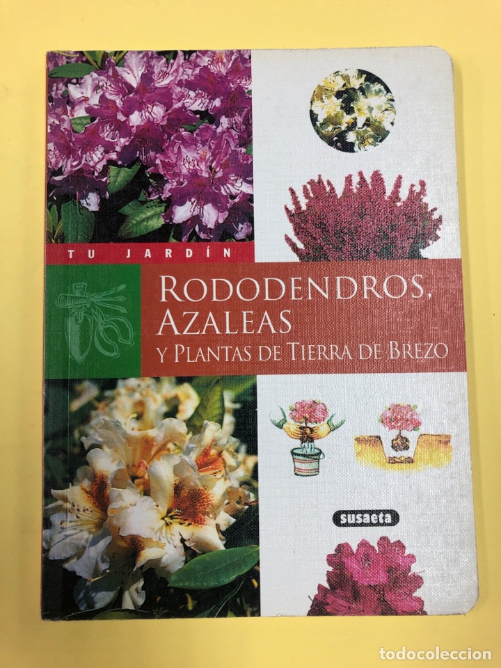 rododendros, azaleas y plantas de brezo - pierr - Comprar Libros de  biología y botánica de segunda mano en todocoleccion - 175790369