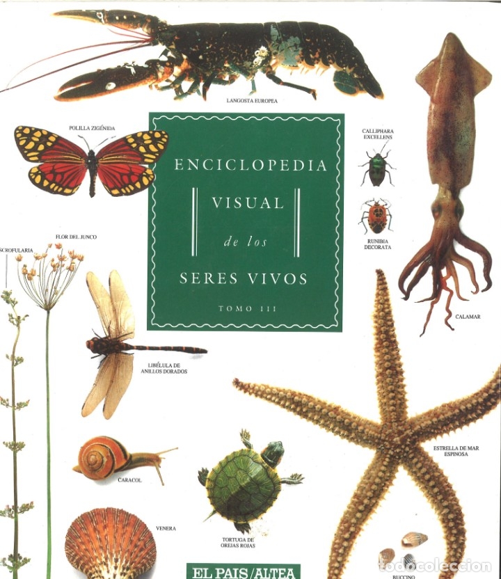Libros de segunda mano: Enciclopedia visual de los seres vivos. Tomo III - Foto 1