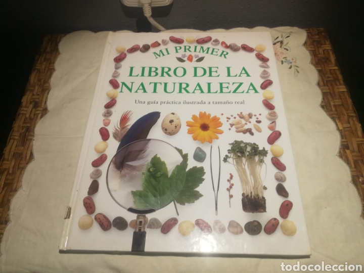 Libros de segunda mano: Mi primer libro de la naturaleza - Foto 1