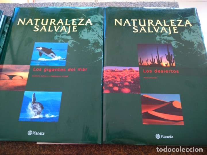 Libros de segunda mano: NATURALEZA SALVAJE -- 6 TOMOS -- PLANETA -- - Foto 2