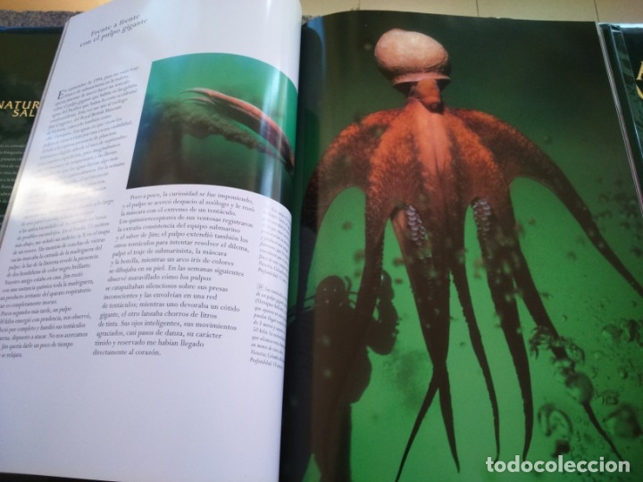Libros de segunda mano: NATURALEZA SALVAJE -- 6 TOMOS -- PLANETA -- - Foto 4