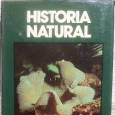 Libros de segunda mano: HISTORIA NATURAL. FAUNA - JOSEFA ALONSO - CLUB INTERNACIONAL DEL LIBRO - 1992 EX. Lote 176522055