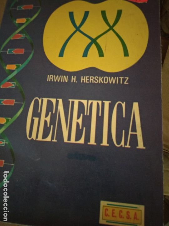 Libros de segunda mano de ciencias: GENETICA - IRWIN H HERSKOWITZ - Foto 1