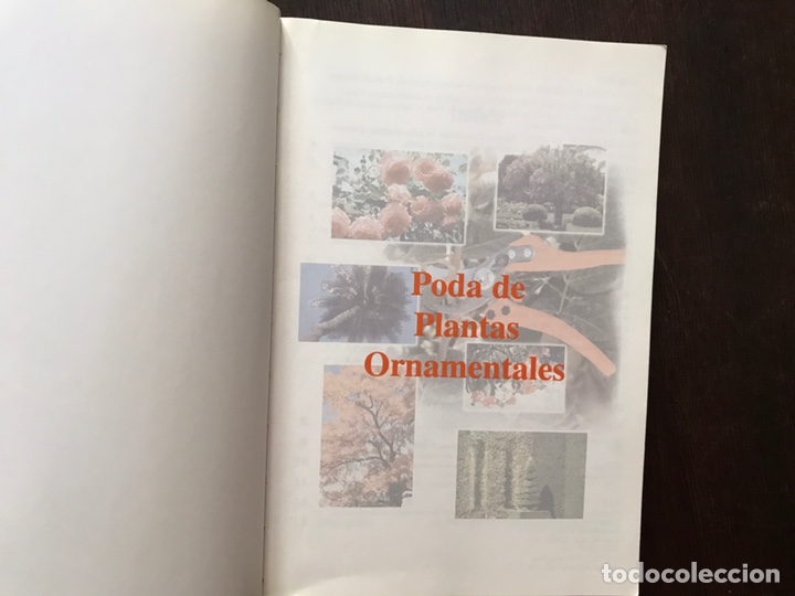 Libros de segunda mano: Poda de plantas ornamentales - Foto 2