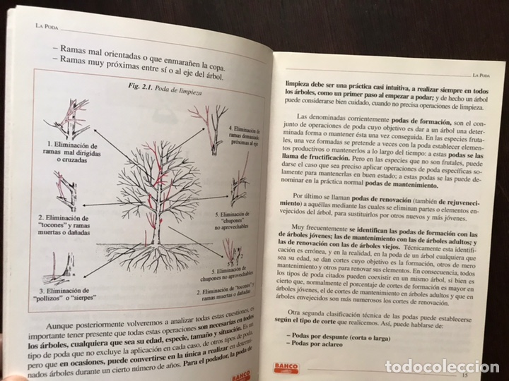 Libros de segunda mano: Poda de plantas ornamentales - Foto 4