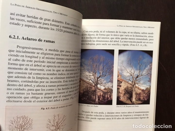 Libros de segunda mano: Poda de plantas ornamentales - Foto 5
