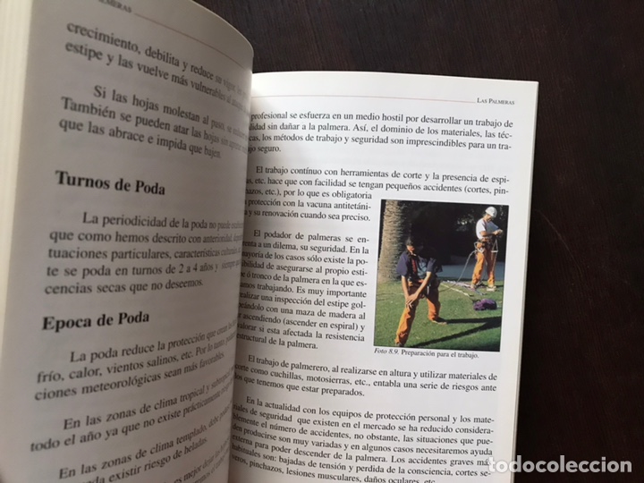 Libros de segunda mano: Poda de plantas ornamentales - Foto 6
