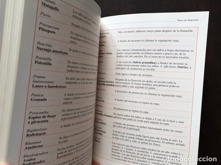 Libros de segunda mano: Poda de plantas ornamentales - Foto 7