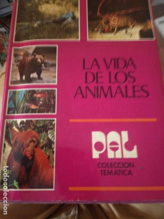 Libros de segunda mano: La vida de los animales - Aa. Vv. - Foto 1