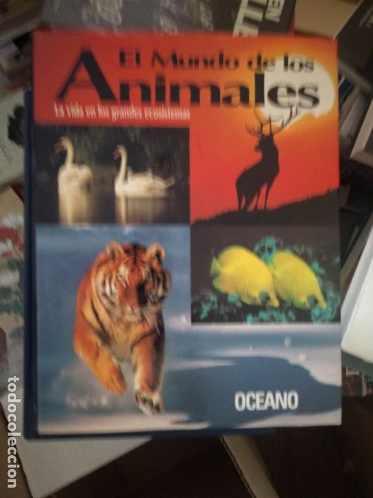 Libros de segunda mano: EL MUNDO DE LOS ANIMALES -- OCEANO - Foto 1