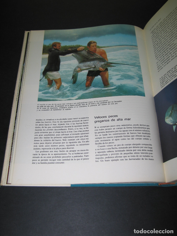 Libros de segunda mano: EL GRAN LIBRO DE LOS OC&Eacute;ANOS - Ed. Readers Digest - 1971 - Foto 6
