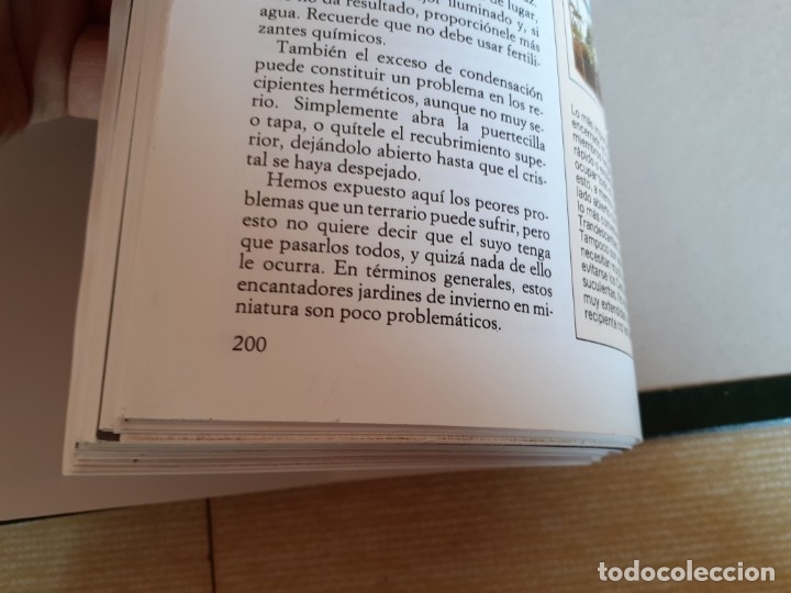 Libros de segunda mano: PLANTAS DE INTERIOR - PLANETA AGOSTINI - 5 TOMOS - Foto 2