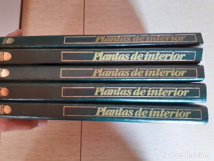 Libros de segunda mano: PLANTAS DE INTERIOR - PLANETA AGOSTINI - 5 TOMOS - Foto 3