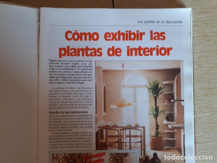Libros de segunda mano: PLANTAS DE INTERIOR - PLANETA AGOSTINI - 5 TOMOS - Foto 6