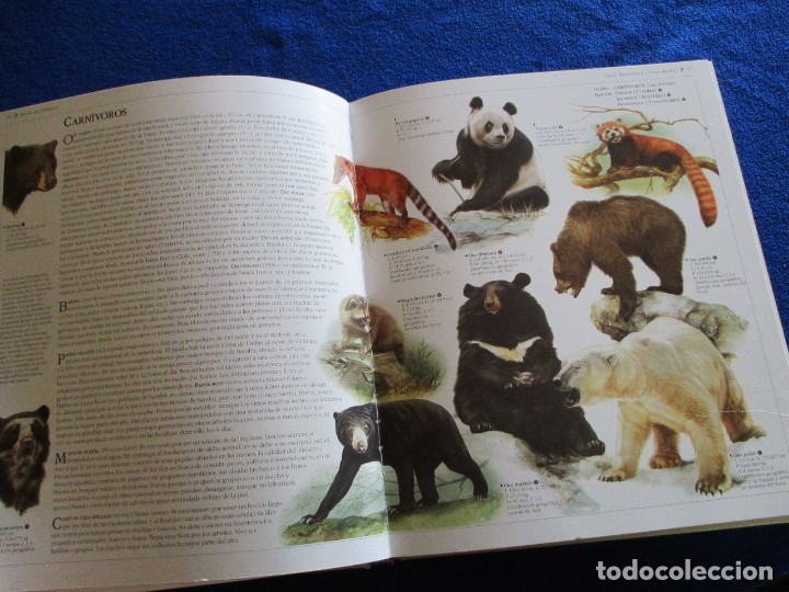 Atlas De Animales Ediciones Susaeta Año ¿? - Comprar Libros De Biología ...