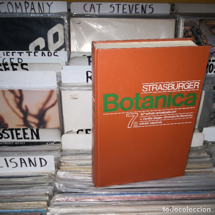 Libros de segunda mano: Tratado de Bot&aacute;nica - STRARBURGER, NOLL,  SCHENK, SHIMPER, - Foto 1