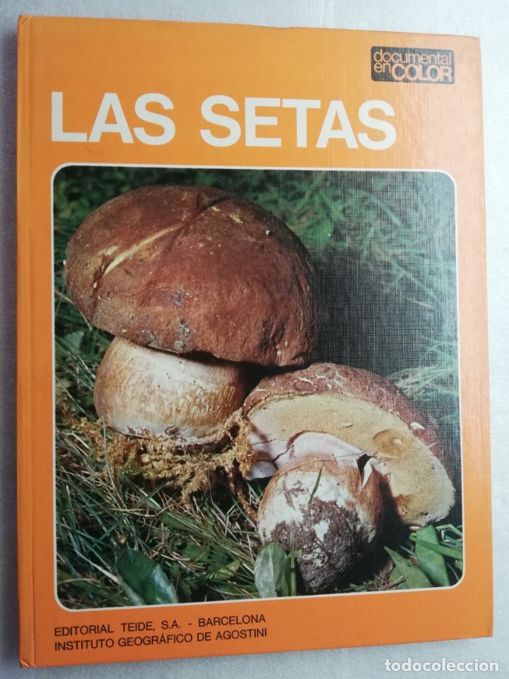 Libros de segunda mano: LAS SETAS. DOCUMENTAL EN COLOR. EDITORIAL TEIDE. - Foto 1