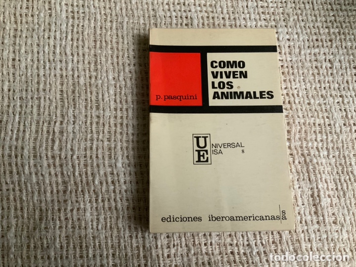 Libros de segunda mano: COMO VIVEN LOS ANIMALES / P. PASQUINI - Foto 1