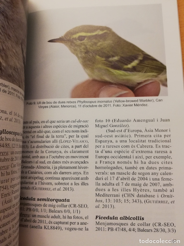 Libros de segunda mano: ANUARI ORNITOL&Ograve;GIC DE LES BALEARS 2013 (VOLUM 28) - Foto 5